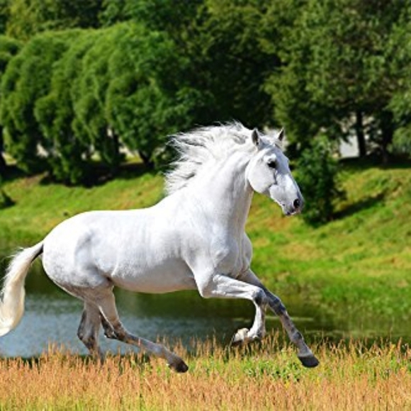 Meet Your Posher, Grace R 🌺 - Picture 7 of 8